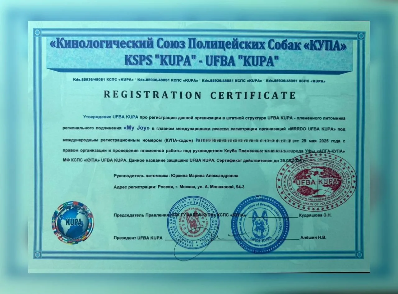 Регистрационный сертификат
